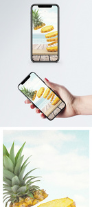创意菠萝手机壁纸图片