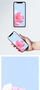 樱花手机壁纸图片