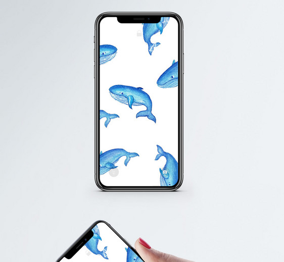 海豚背景手机壁纸图片