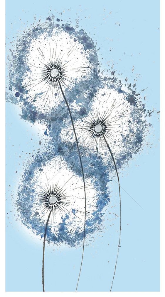 蒲公英手机壁纸图片