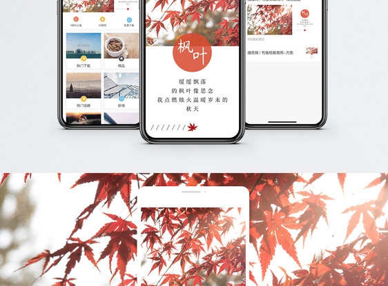 秋天手机海报配图图片