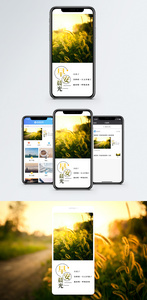 早安手机海报配图图片