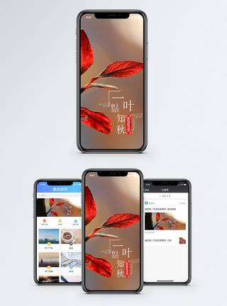 一叶知秋手机海报配图图片