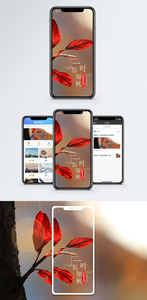 一叶知秋手机海报配图图片