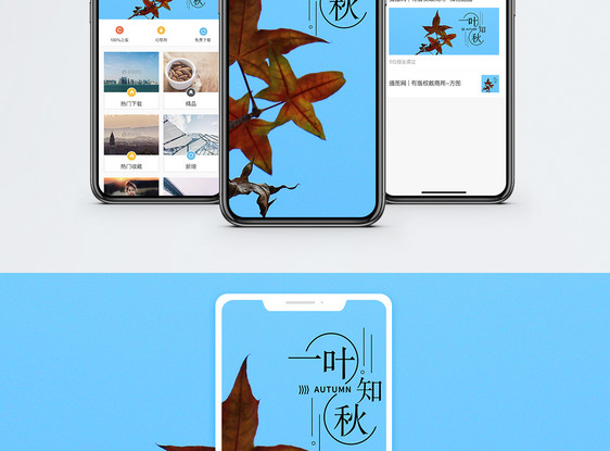 一叶知秋手机海报配图图片