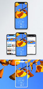 一叶知秋手机海报配图图片