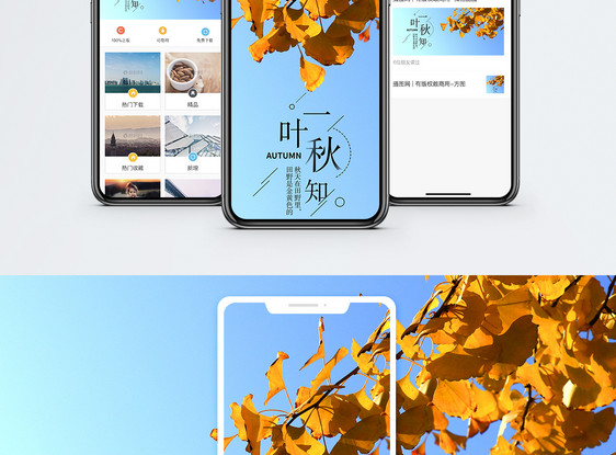 一叶知秋手机海报配图图片