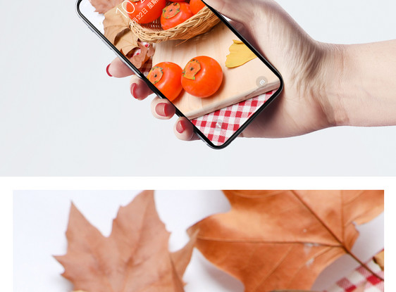 秋天的柿子手机壁纸图片