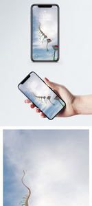 风筝手机壁纸图片