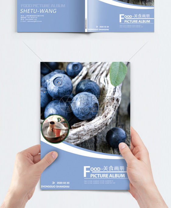 蓝莓水果画册封面图片