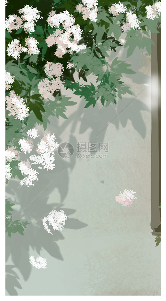 植物花卉手机壁纸图片