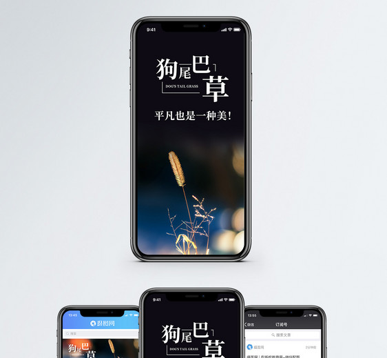 狗尾巴草手机海报配图图片