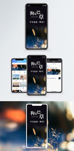狗尾巴草手机海报配图图片