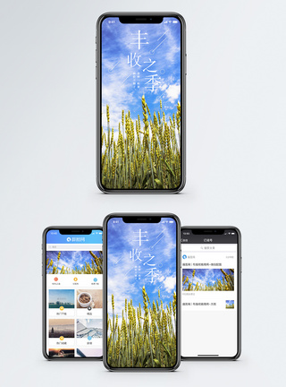 丰收之季手机海报配图图片
