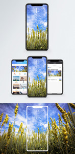 丰收之季手机海报配图图片