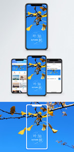 一叶知秋手机海报配图图片