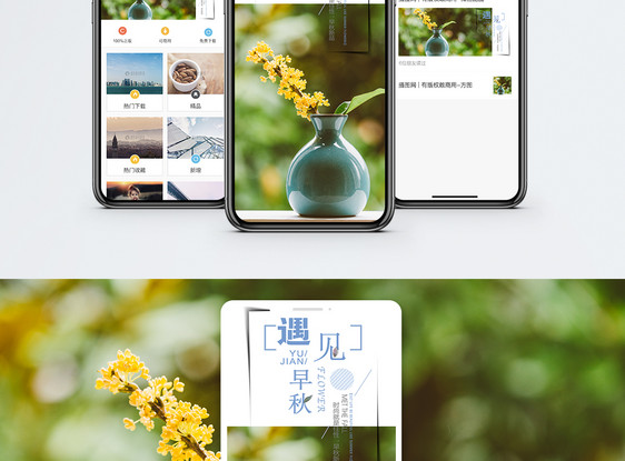 清新桂花手机海报配图图片