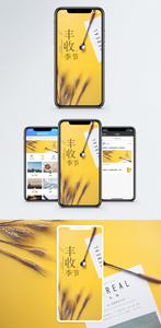 丰收季节手机海报配图图片