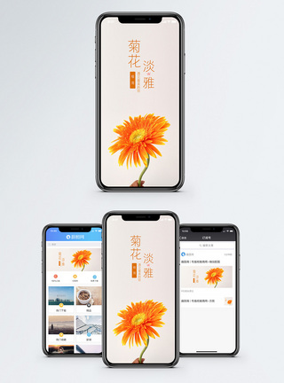 菊花手机海报配图图片