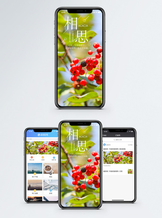 星期相思手机海报配图模板