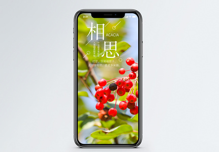 背景与绿叶的相思高清图片夏天的背景与绿叶的相思高清图片相思利亚