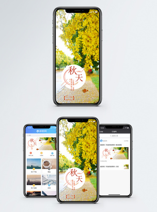 秋天手机海报配图图片