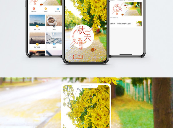 秋天手机海报配图图片