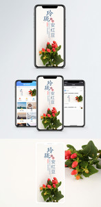 清新手机海报配图图片