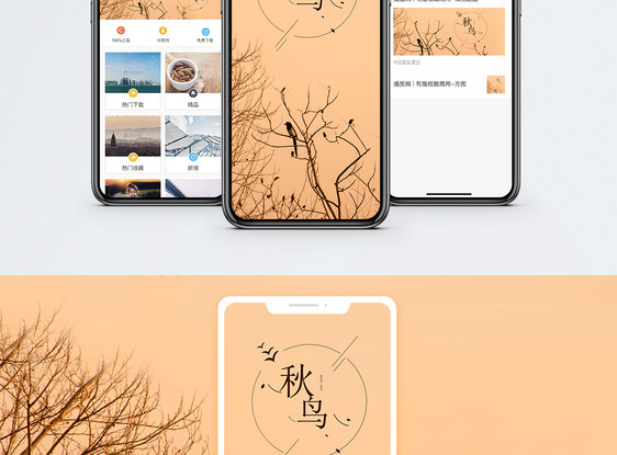 秋鸟手机海报配图图片