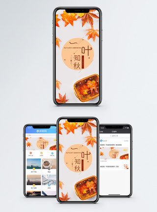 一叶知秋 手机海报配图图片