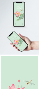 荷花花卉手机壁纸图片