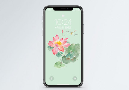 荷花花卉手机壁纸图片