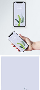 绿叶手机壁纸图片