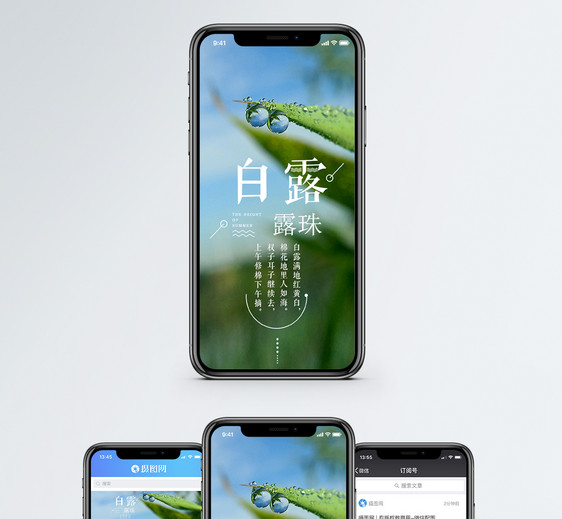 白露手机海报配图图片