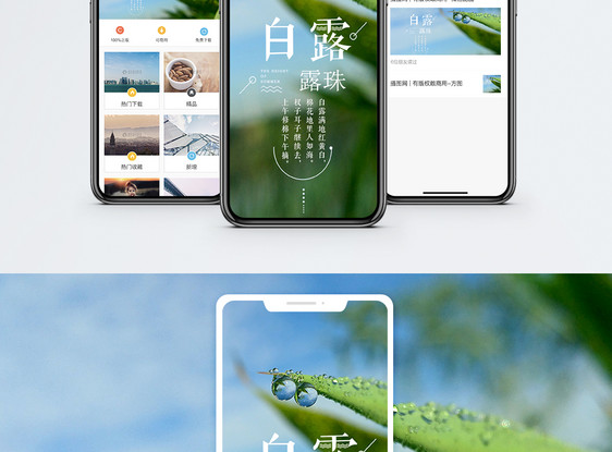 白露手机海报配图图片