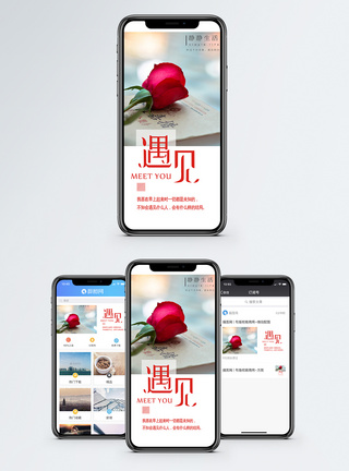 遇见手机海报配图图片