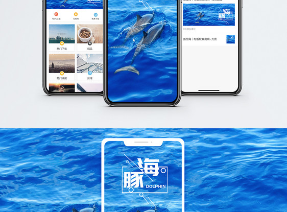 海豚手机海报配图图片