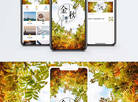 金秋岁月手机海报配图图片