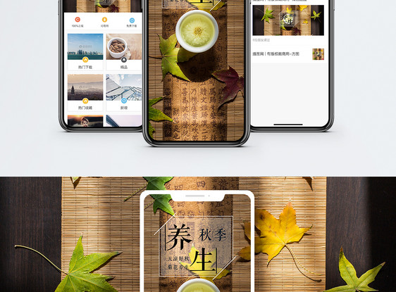 秋季养生手机海报配图图片