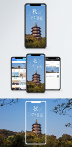 秋的景色手机海报配图图片