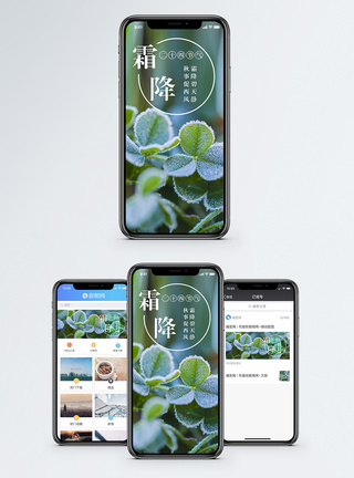 霜降手机海报配图图片