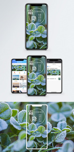 霜降手机海报配图图片