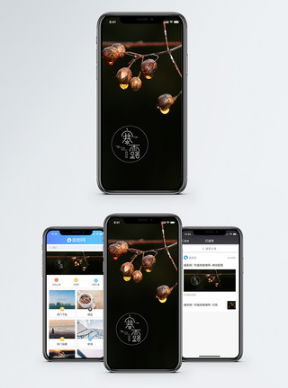 秋天果实寒露手机海报配图模板