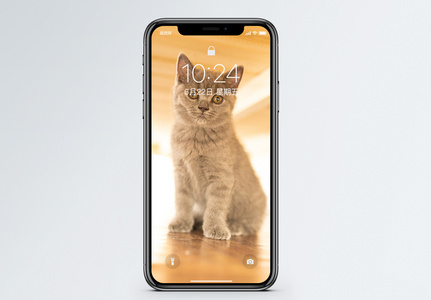 可爱猫手机壁纸图片