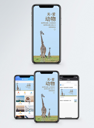 关爱动物手机海报配图图片
