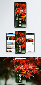 寒露手机海报配图图片