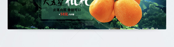 枇杷水果特产淘宝banner图片