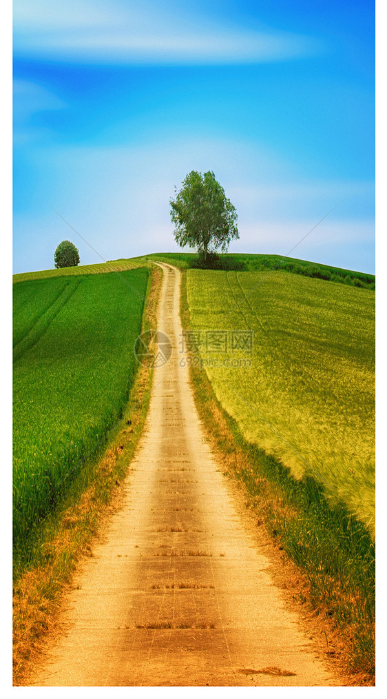 风景道路手机壁纸图片