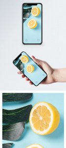 柠檬静物手机壁纸图片