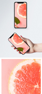 水果西柚手机壁纸图片